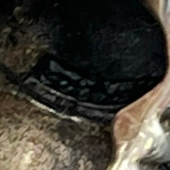 Designer Sterling Silver Polished Oval High Dome Cable Rope Trim Band Ring Sz 7 - Picture 9 of 9